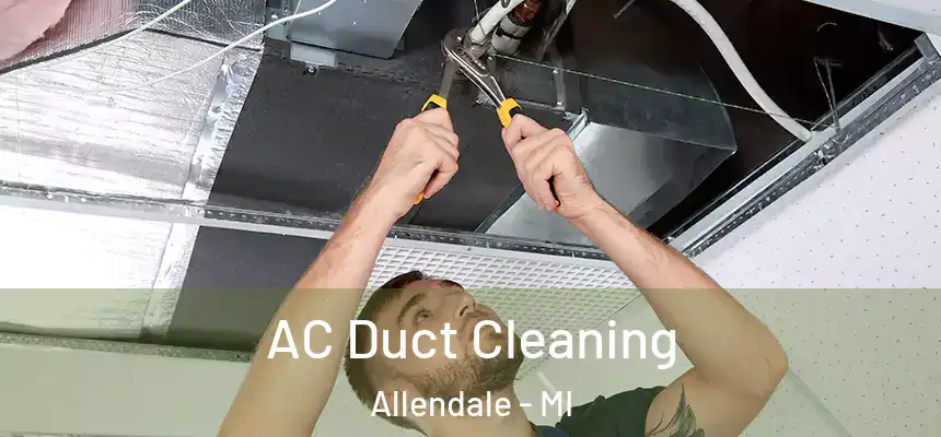  AC Duct Cleaning Allendale - MI