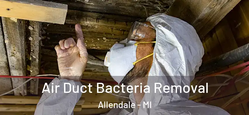  Air Duct Bacteria Removal Allendale - MI