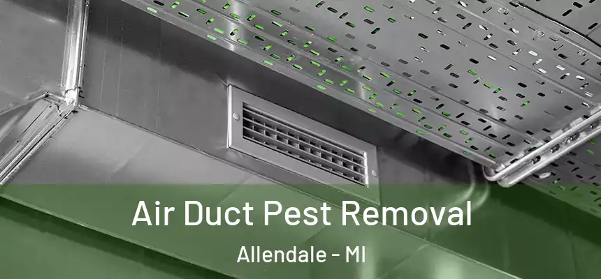  Air Duct Pest Removal Allendale - MI