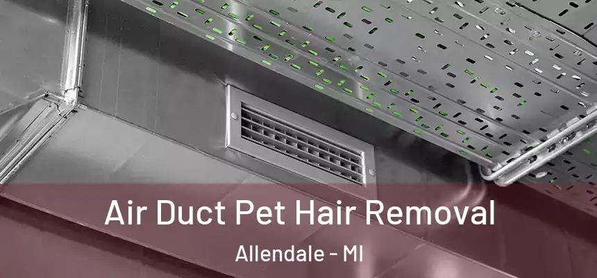  Air Duct Pet Hair Removal Allendale - MI