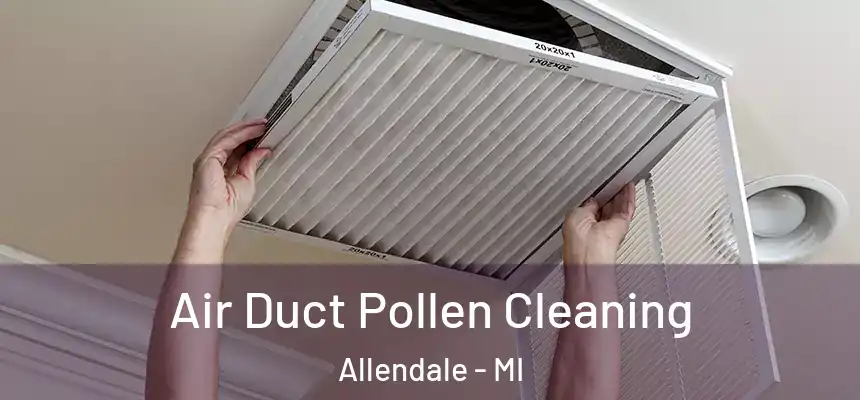  Air Duct Pollen Cleaning Allendale - MI