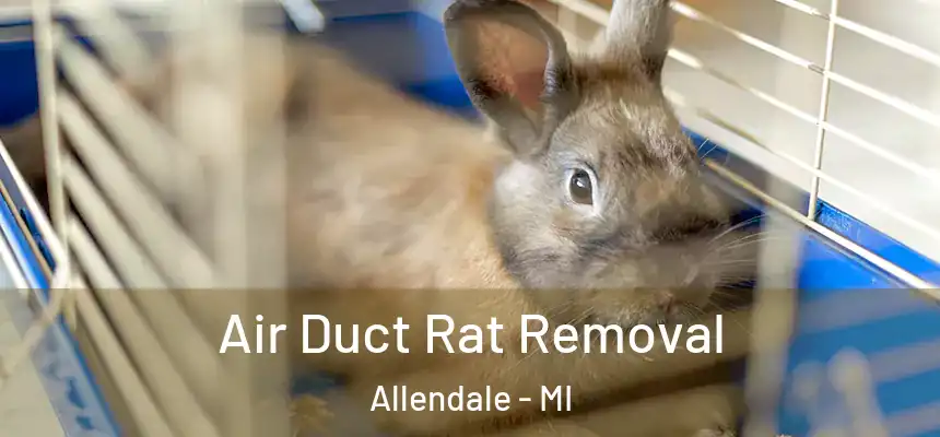  Air Duct Rat Removal Allendale - MI