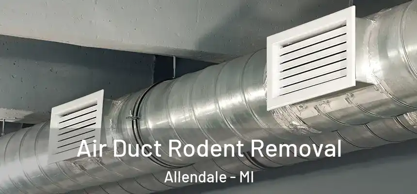  Air Duct Rodent Removal Allendale - MI