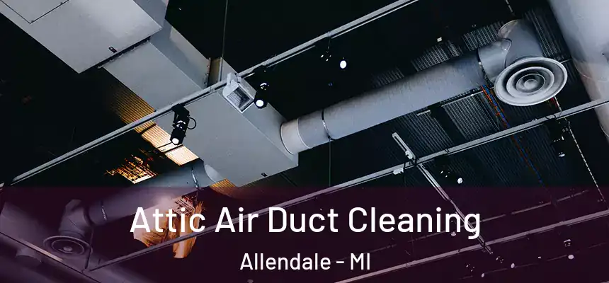  Attic Air Duct Cleaning Allendale - MI