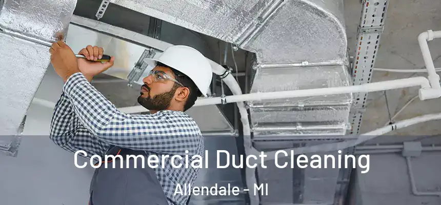  Commercial Duct Cleaning Allendale - MI