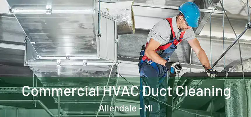  Commercial HVAC Duct Cleaning Allendale - MI