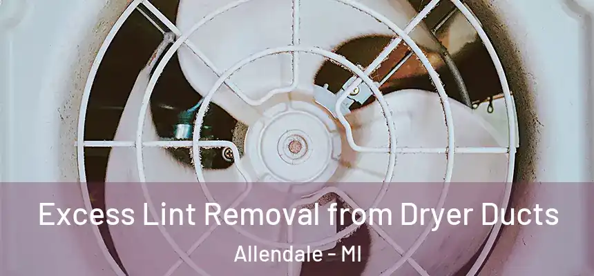  Excess Lint Removal from Dryer Ducts Allendale - MI