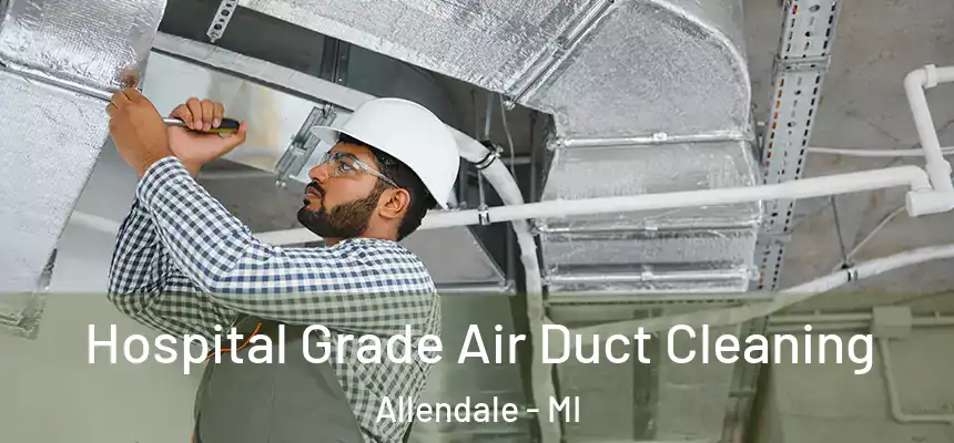  Hospital Grade Air Duct Cleaning Allendale - MI