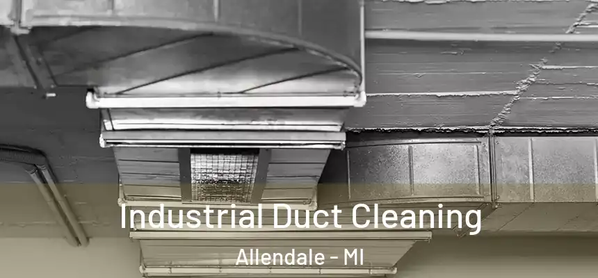  Industrial Duct Cleaning Allendale - MI