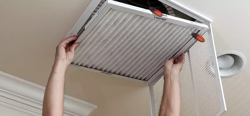 Preventive Cockroach-Proofing for Ducts in Allendale