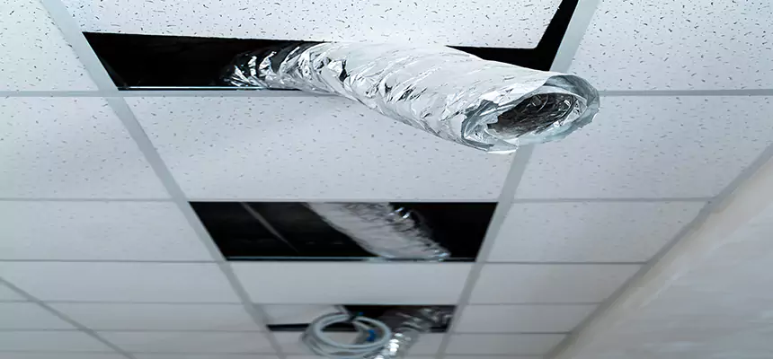 Affordable HVAC Sanitizing After Pest Removal in Allendale