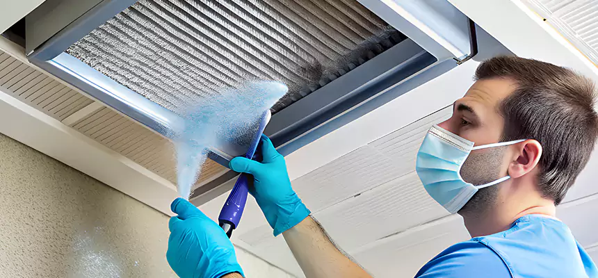 Proactive Dryer Vent & Auxiliary Duct Pollen Cleanup in Allendale, MI