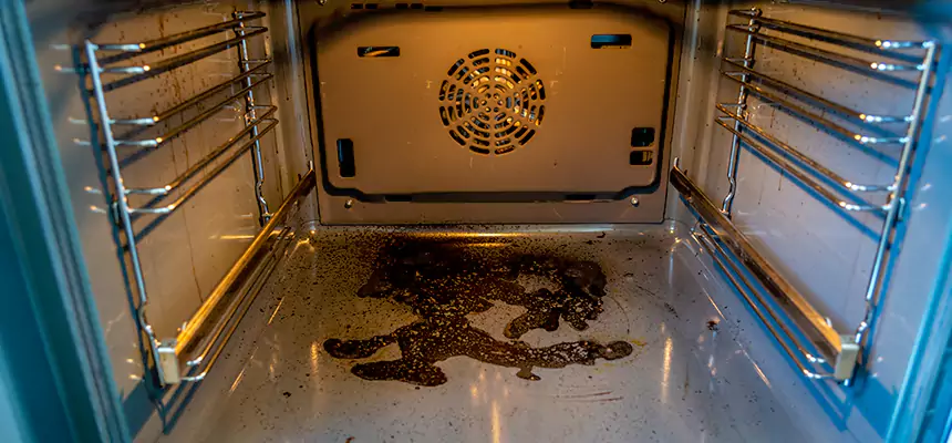 Our Dryer Vent Mold Cleaning Services in Allendale, MI