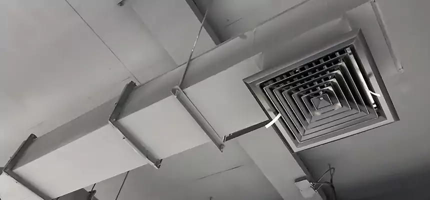 Our Rodent Droppings In Vents Services in Allendale, MI