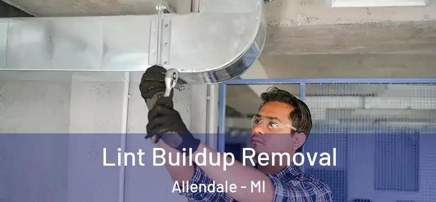  Lint Buildup Removal Allendale - MI