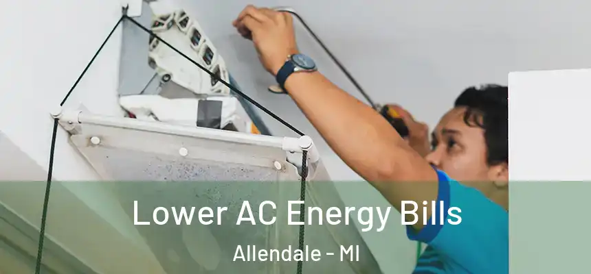  Lower AC Energy Bills Allendale - MI