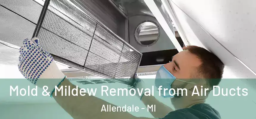  Mold & Mildew Removal from Air Ducts Allendale - MI