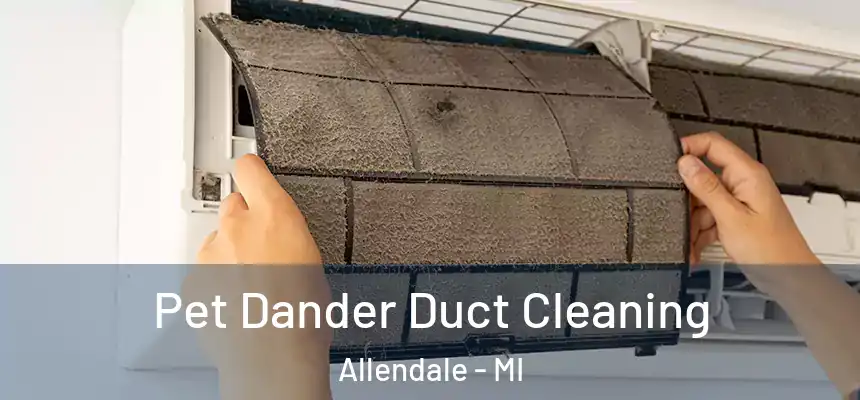  Pet Dander Duct Cleaning Allendale - MI