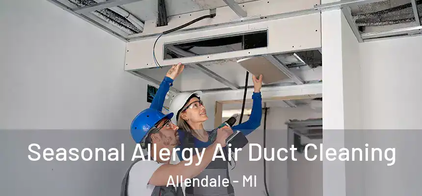  Seasonal Allergy Air Duct Cleaning Allendale - MI