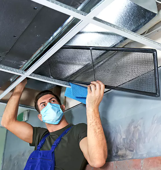 About Air Duct Bacteria Removal in Allendale