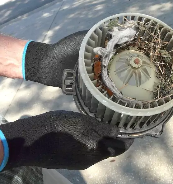 About Air Duct Rat Removal in Allendale, MI