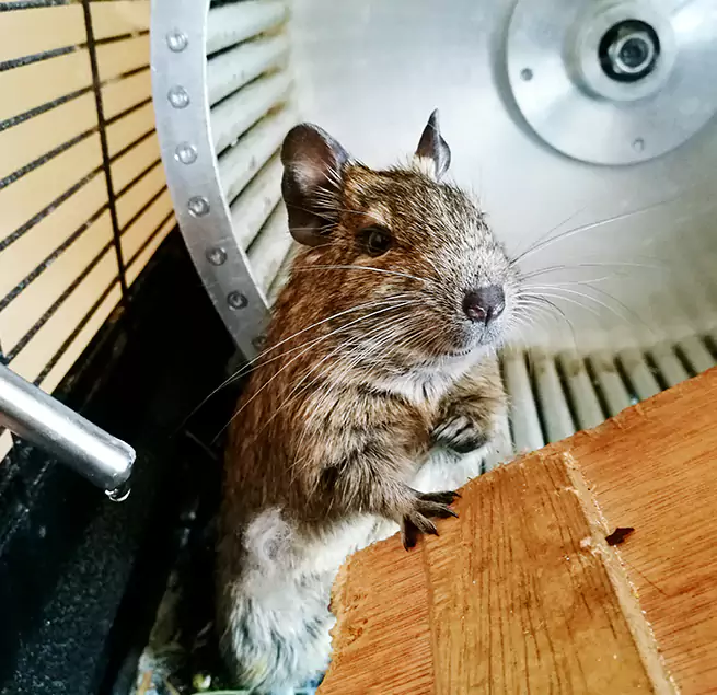 Why Homeowners & Businesses Trust Us Allendale, MI