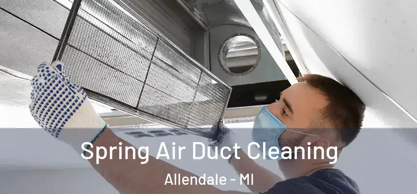  Spring Air Duct Cleaning Allendale - MI